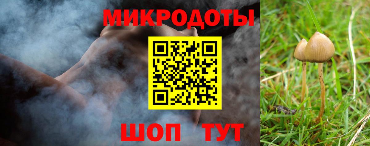 Псилоцибиновые грибы Psilocybe Снежинск